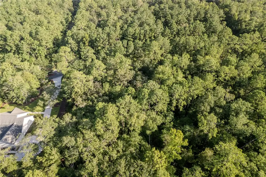 Lot 2 St Andrews Way, Woodbine, GA 31569 - #3
