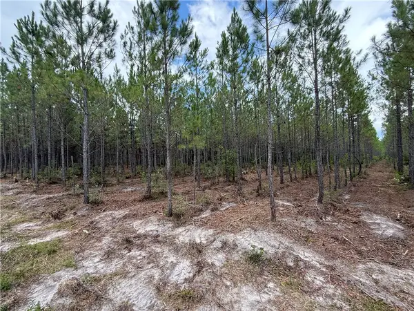 0 (Lot 2) Corbitt Road, Manor, GA 31550