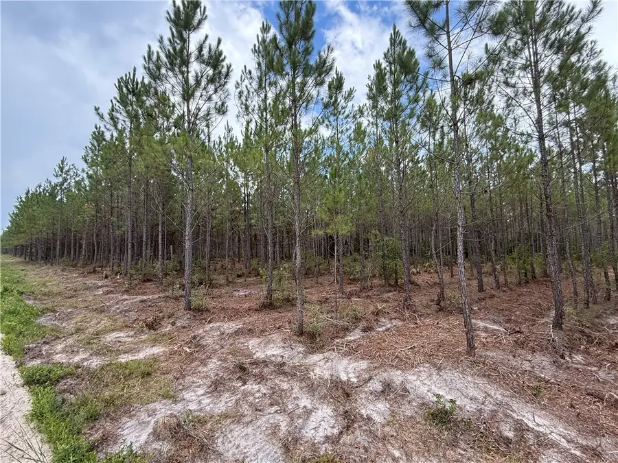 0 (Lot 2) Corbitt Road, Manor, GA 31550 - Image #2
