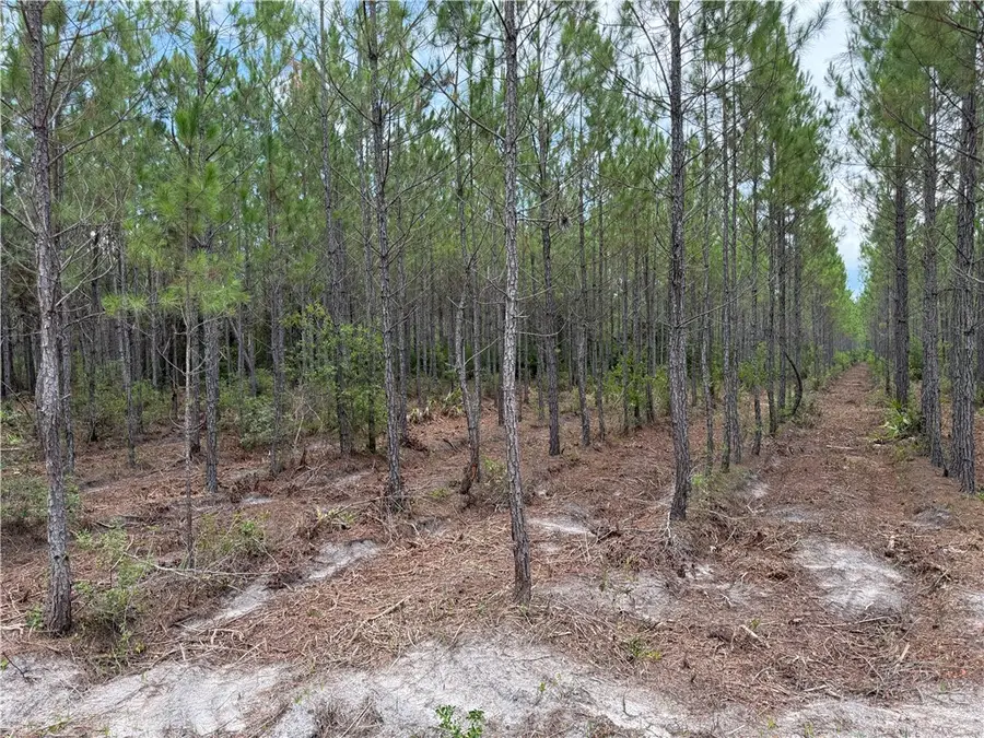 0 (Lot 2) Corbitt Road, Manor, GA 31550 - Image #3