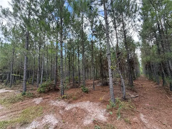 0 (Lot 3) Corbitt Road, Manor, GA 31550