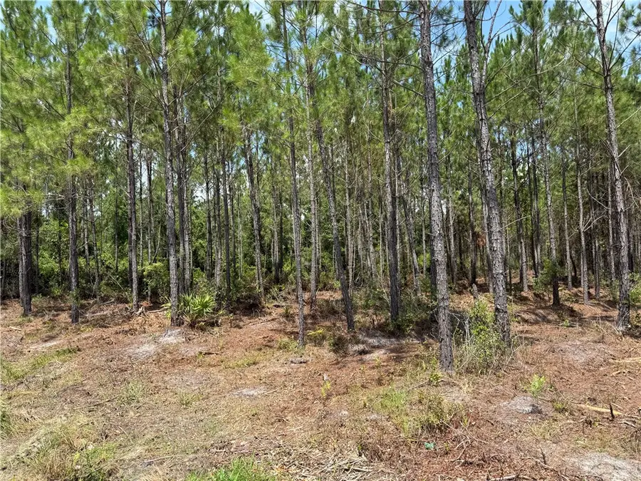 0 (Lot 5) Corbitt Road, Manor, GA 31550 - Image #3