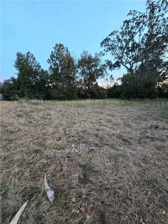 117 Drew Circle, Brunswick, GA 31525 - Image #2