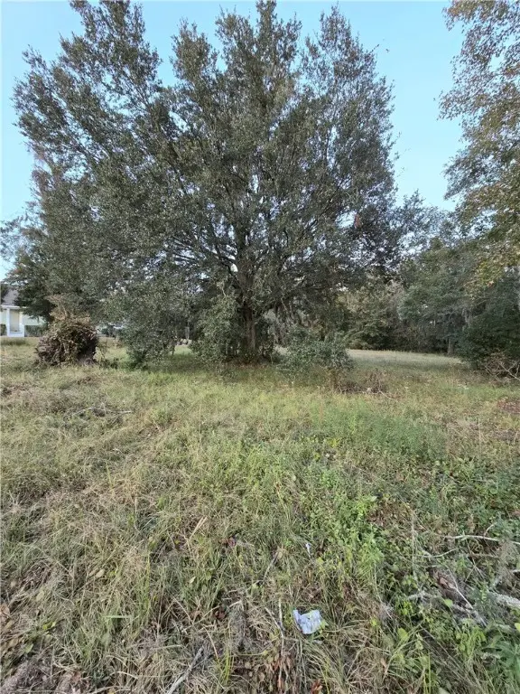 117 Drew Circle, Brunswick, GA 31525 - Image #3