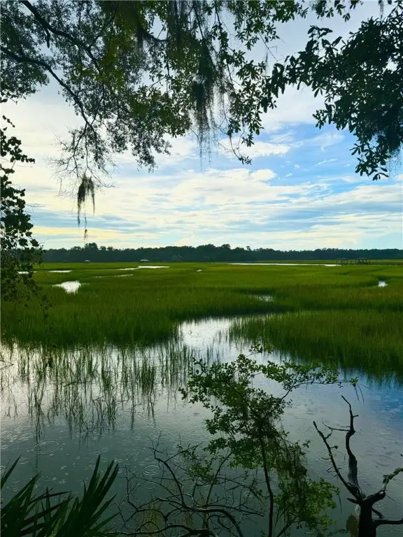 0 W Mission Lane Se, Darien, GA 31305 - Image #2