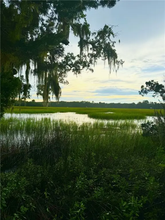 0 W Mission Lane Se, Darien, GA 31305 - Image #3