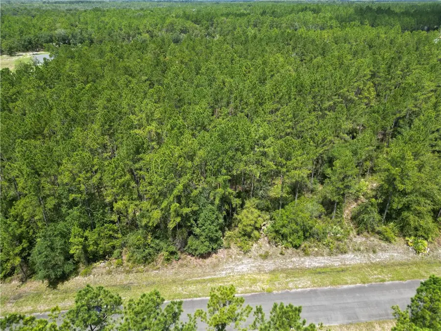 00 Heritage Circle, Hortense, GA 31543 - Image #3