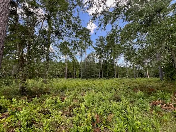 19 Windmill Palm, Brunswick, GA 31523