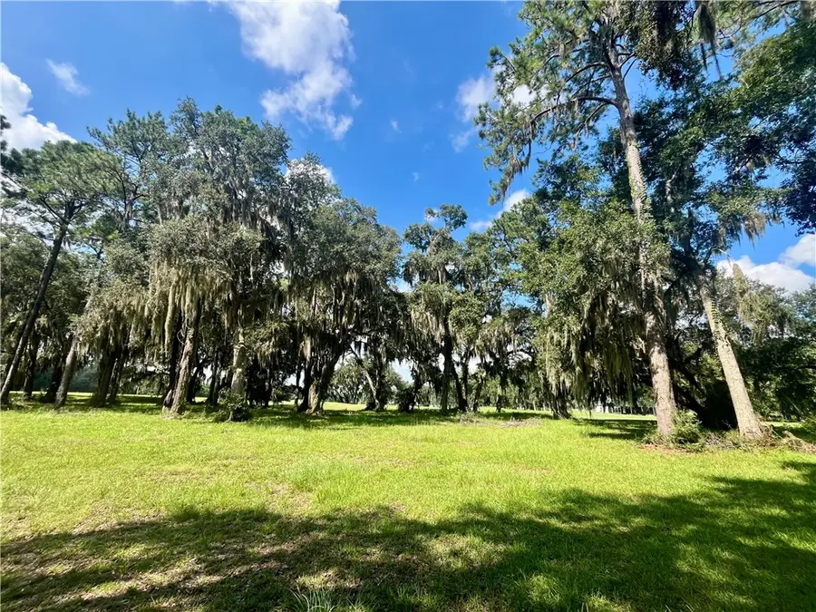 Lot 1, Phase 6 Sutherland Bluff Drive Ne, Townsend, GA 31331 - Image #3