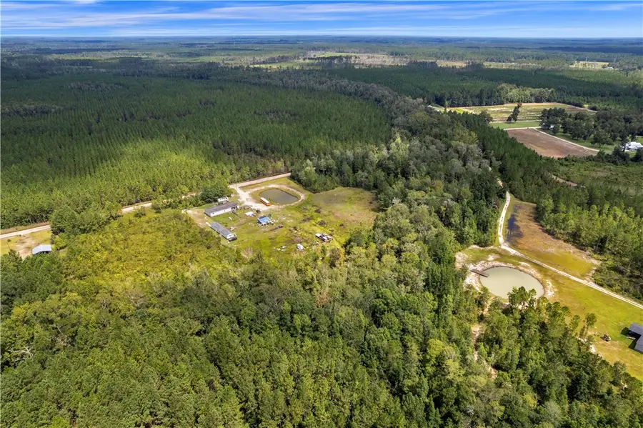 1139 Henry Walcott Road Nw, Ludowici, GA 31316 - Image #2