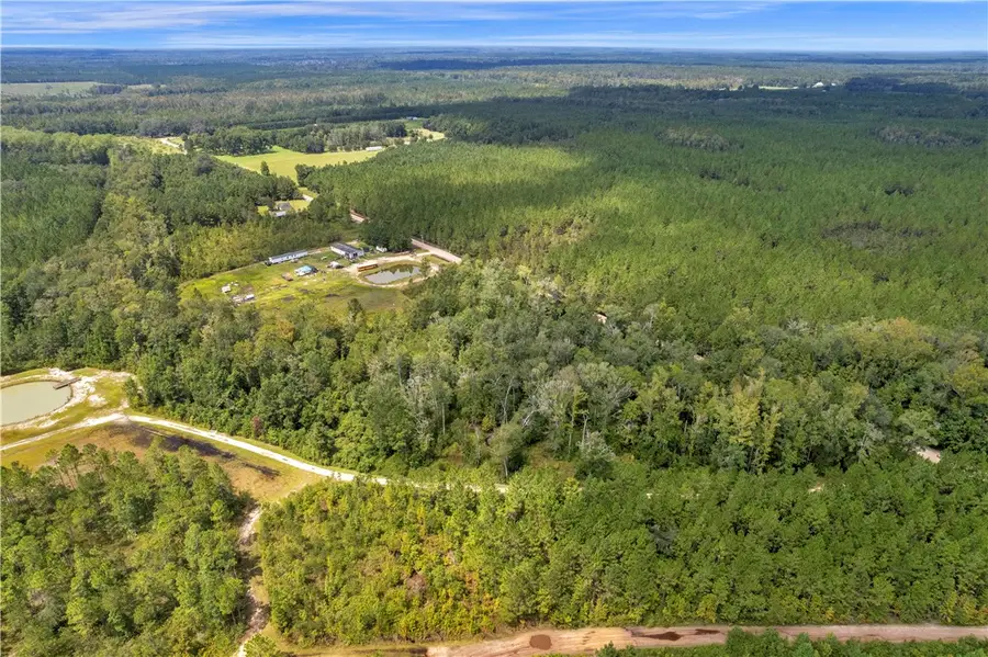 1139 Henry Walcott Road Nw, Ludowici, GA 31316 - Image #3