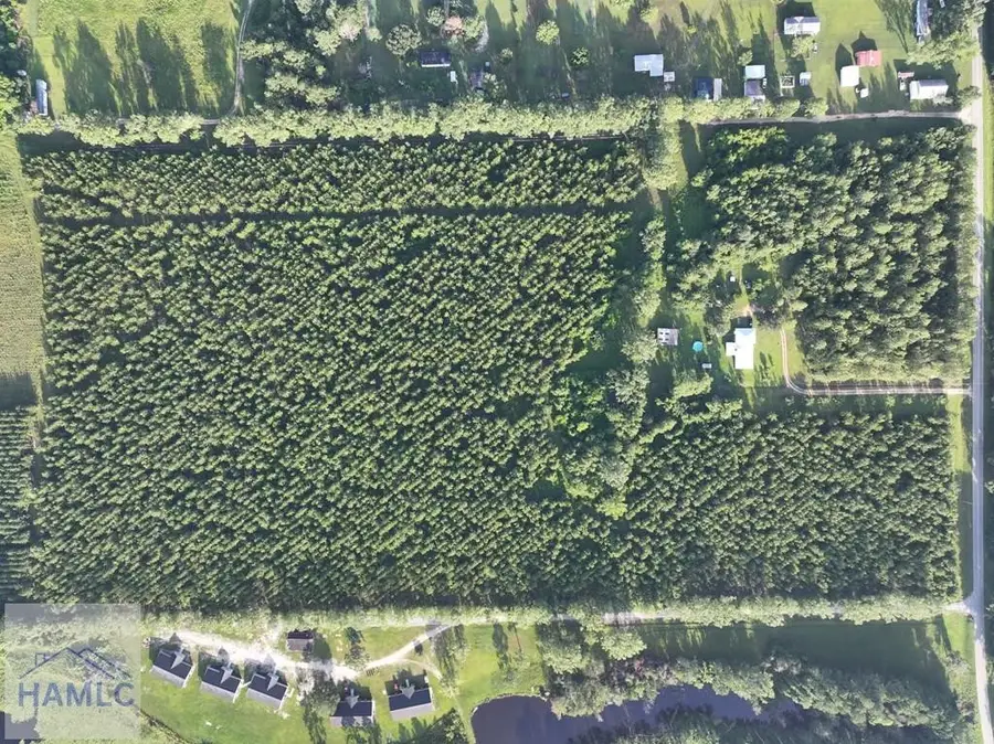 Tract 1A & 1C Oglethorpe Road, Jesup, GA 31545 - Image #2