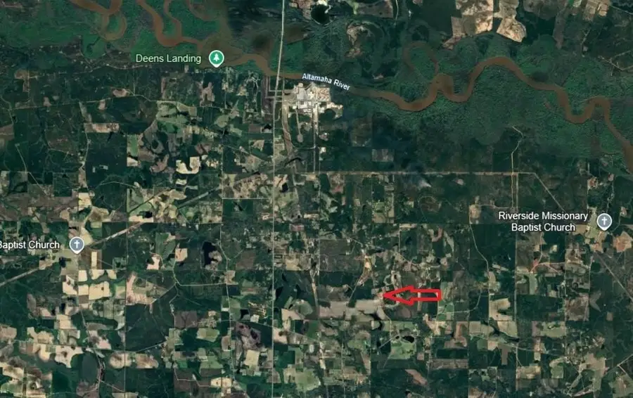 0 Rocky Road, Baxley, GA 31513 - Image #2