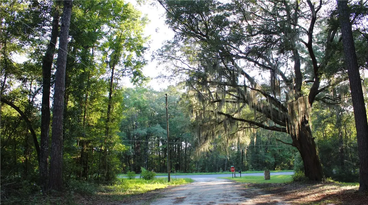 1022 Harmony Hill Lane Ne, Townsend, GA 31331 - Image #1