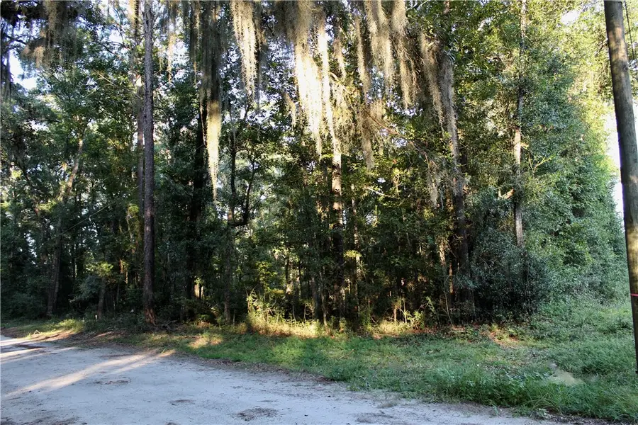 1022 Harmony Hill Lane Ne, Townsend, GA 31331 - Image #2