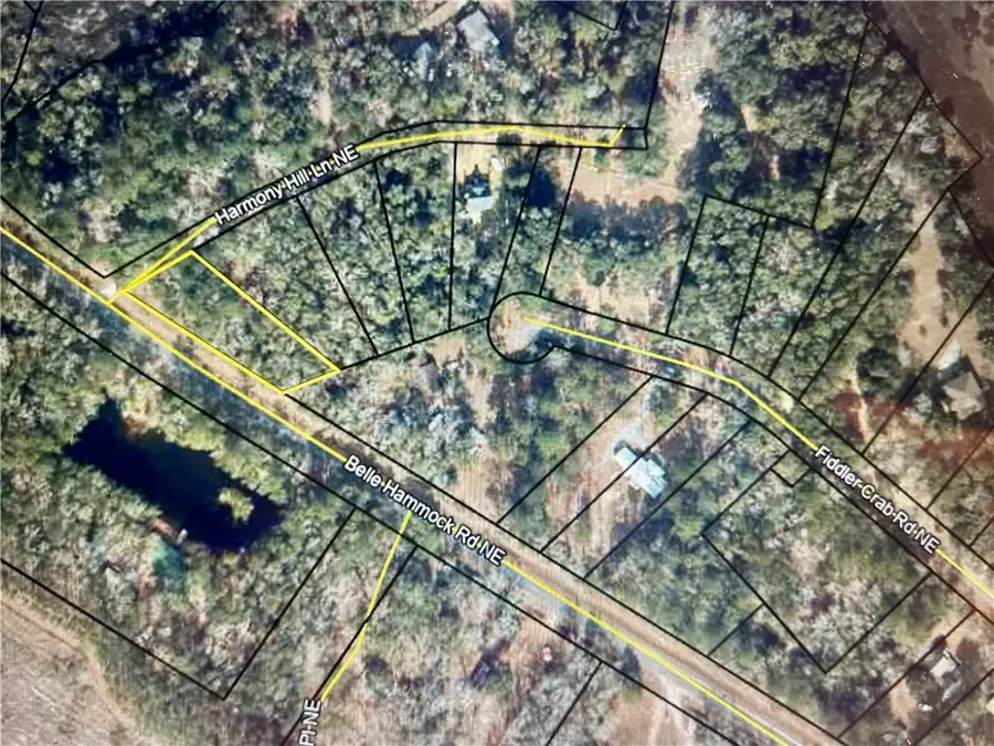 1022 Harmony Hill Lane Ne, Townsend, GA 31331 - Image #3