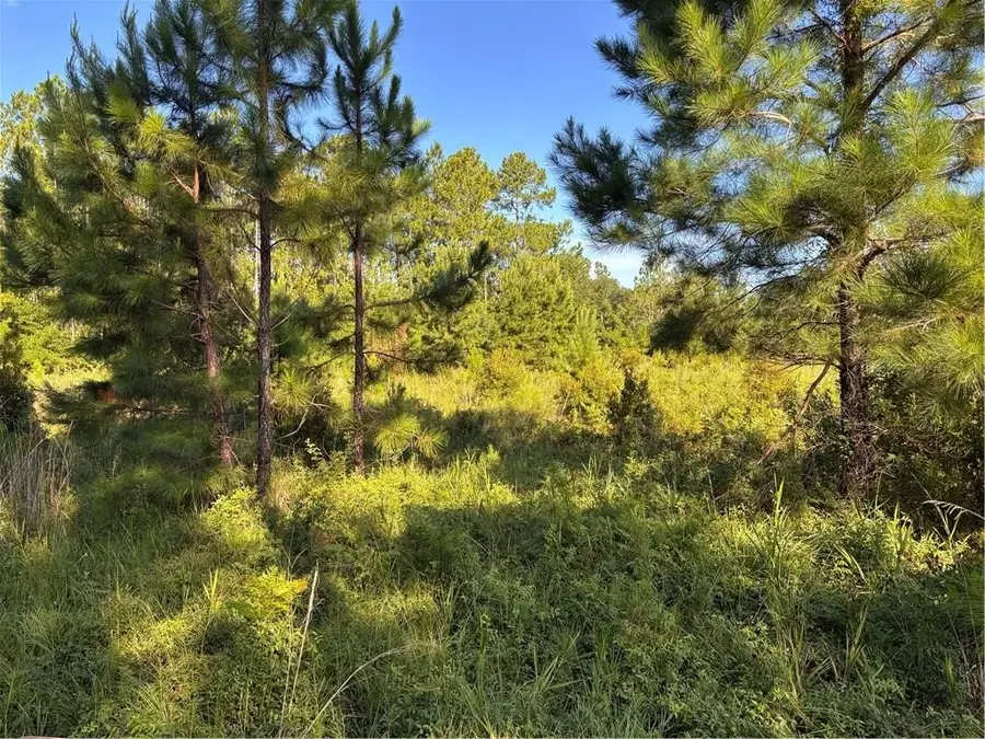 00 Horseshoe Cove Rd Cove, Waverly, GA 31565 - Image #2