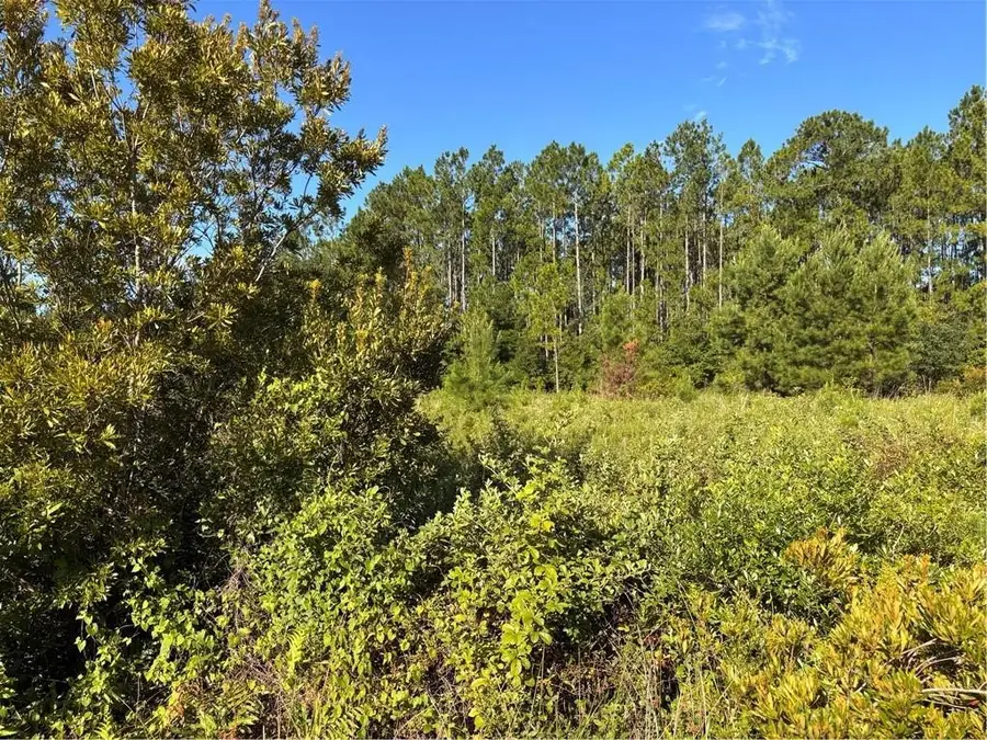 00 Horseshoe Cove Rd Cove, Waverly, GA 31565 - Image #3
