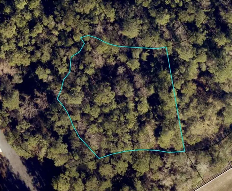 0 Canoe Run, Woodbine, GA 31569 - Image #2