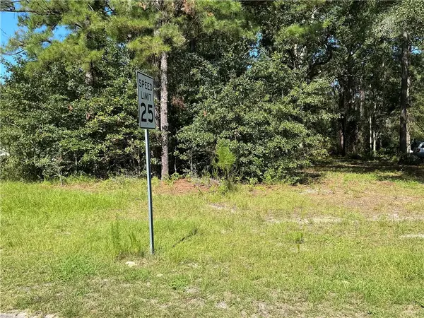 111 Rosy Road, Blackshear, GA 31516