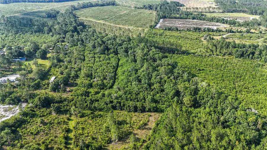 0-0 Foxwood Road, Nahunta, GA 31553 - Image #3