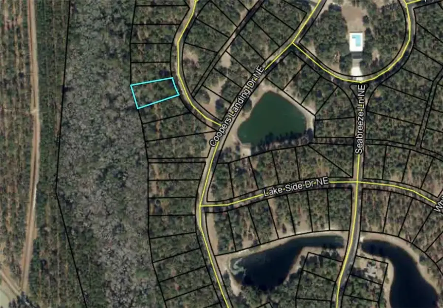 Lot 716 Cooper's Landing Drive Ne, Townsend, GA 31331 - Image #2