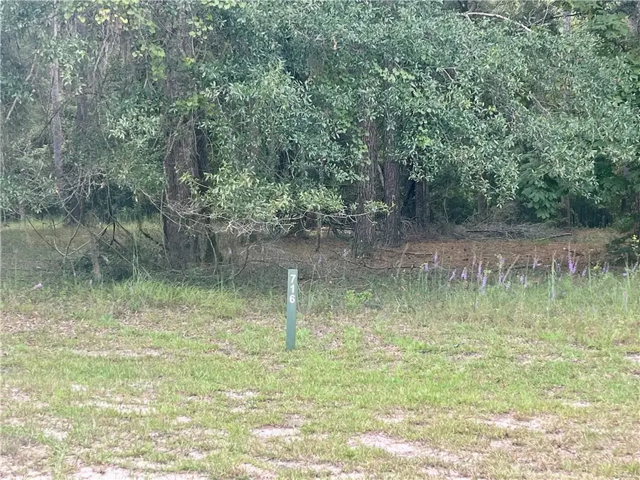 Lot 716 Cooper's Landing Drive Ne, Townsend, GA 31331 - Image #3