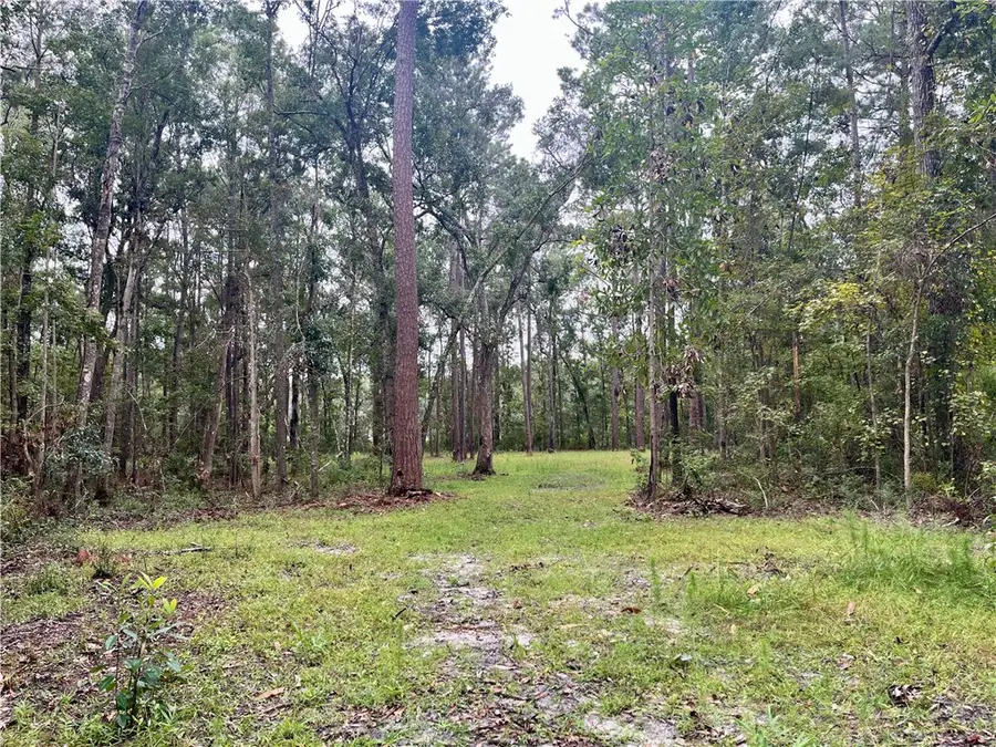 1111 Fiddler Crab Drive Ne, Townsend, GA 31331 - Image #3