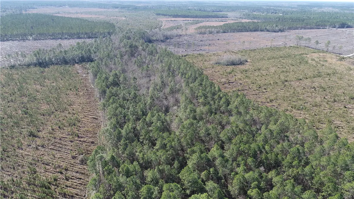 5100 Flowers Branch Road, Jesup, GA 31546 - Image #1