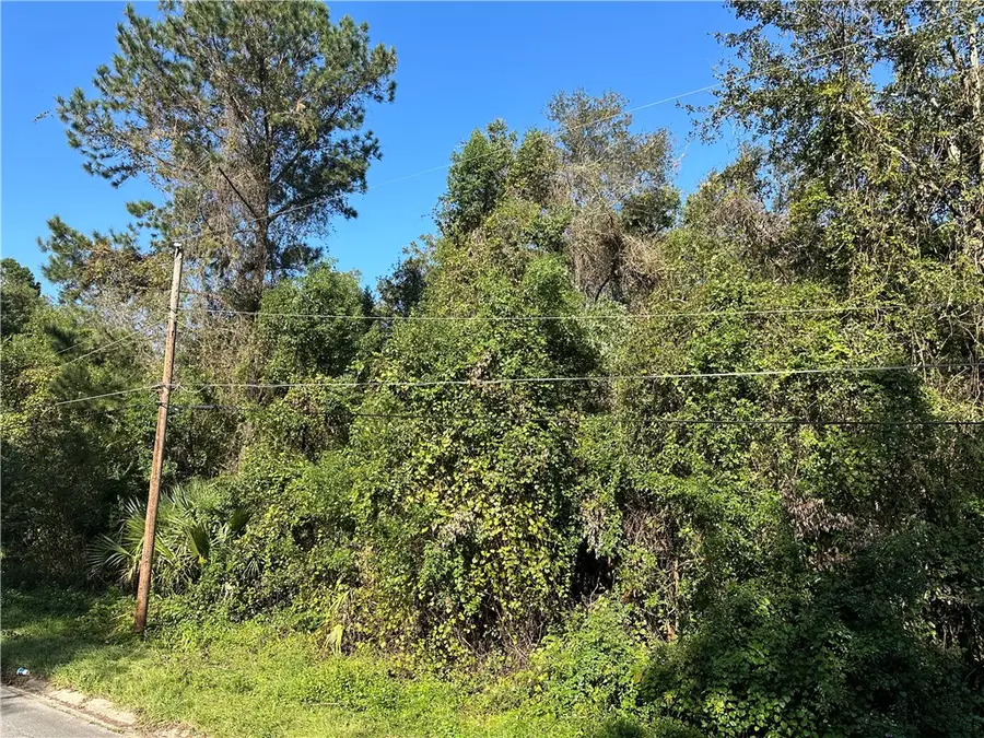 1208 Abner Street, Waycross, GA 31501 - Image #3