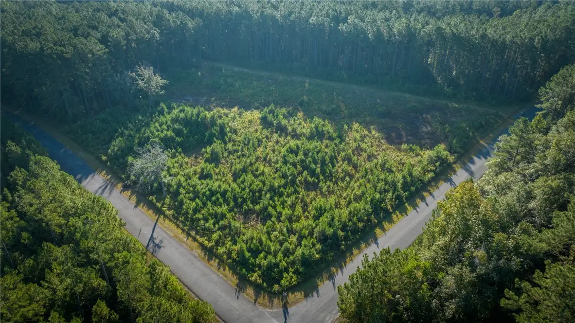 Lot 88 James Lane, White Oak, GA 31568 - Image #1