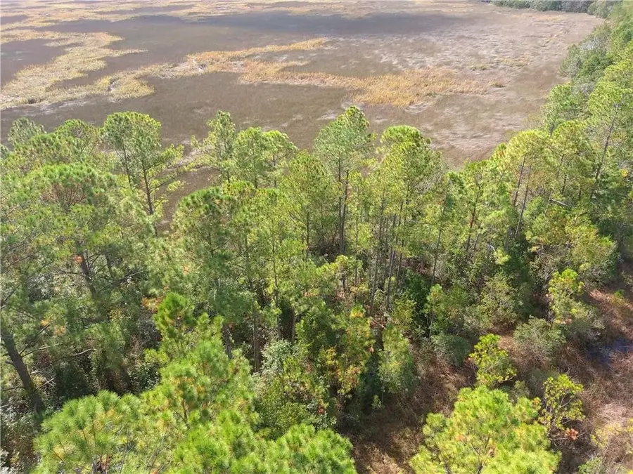 0 Confederate Point Drive, White Oak, GA 31568 - #3