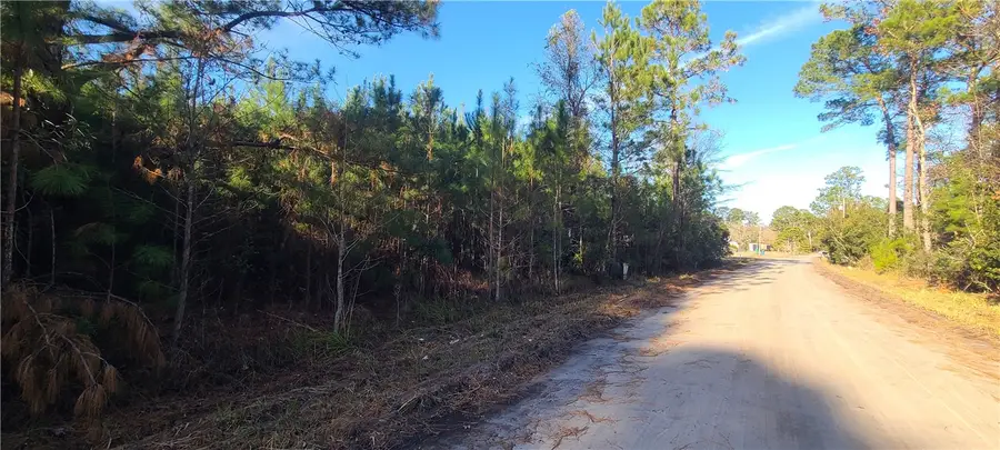 100 White Drive, Townsend, GA 31331 - Image #3