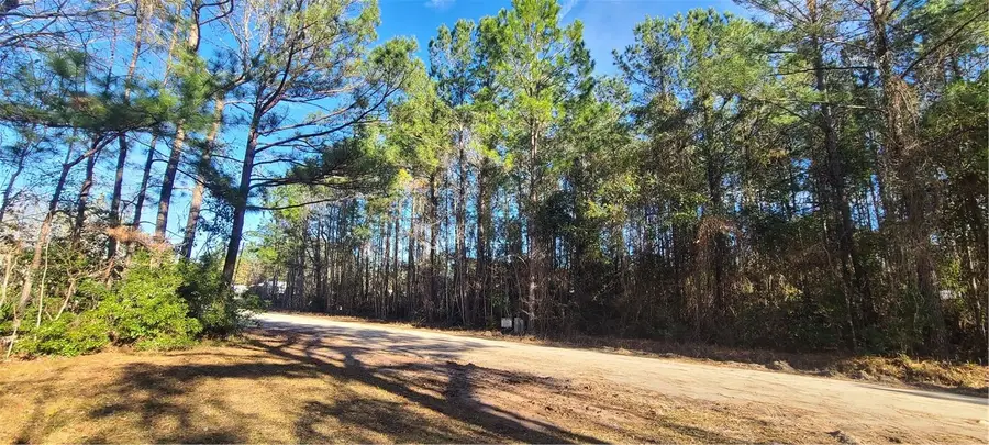 81 Floyd Drive, Townsend, GA 31331 - Image #2