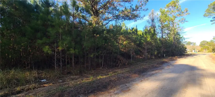 81 Floyd Drive, Townsend, GA 31331 - Image #3