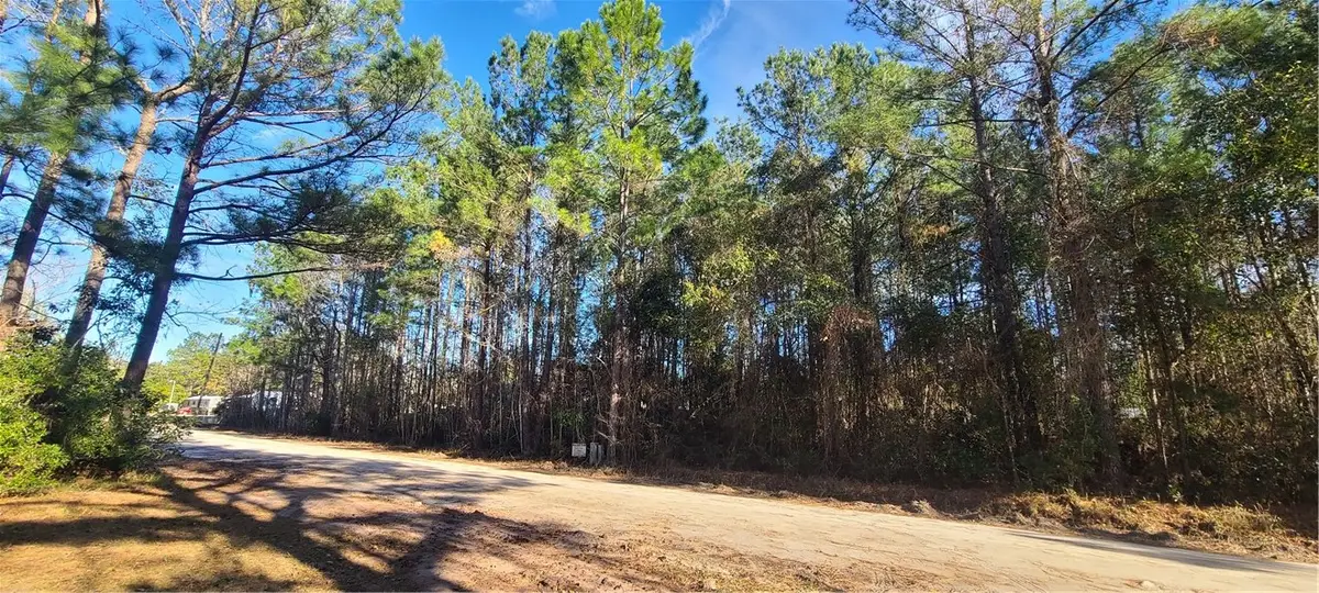 80 Floyd Drive, Townsend, GA 31331 - Image #1