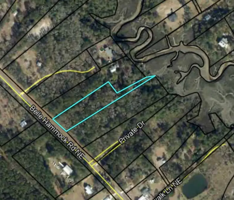 3558 Belle Hammock Road Ne, Townsend, GA 31331 - Image #2