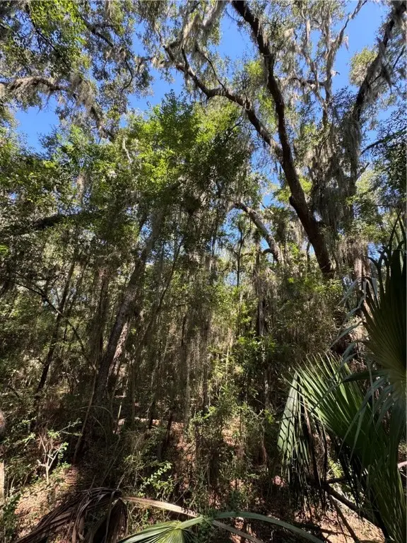 Lot 20 & 21 Riverside Drive, Darien, GA 31305 - Image #2