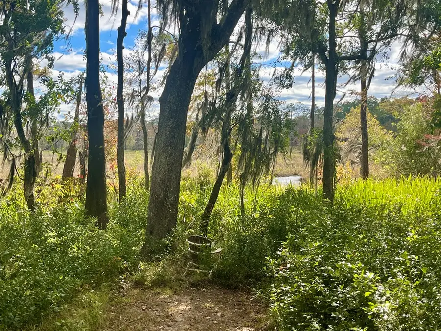 Lot 21 Black Cypress Drive, Darien, GA 31305 - Image #3