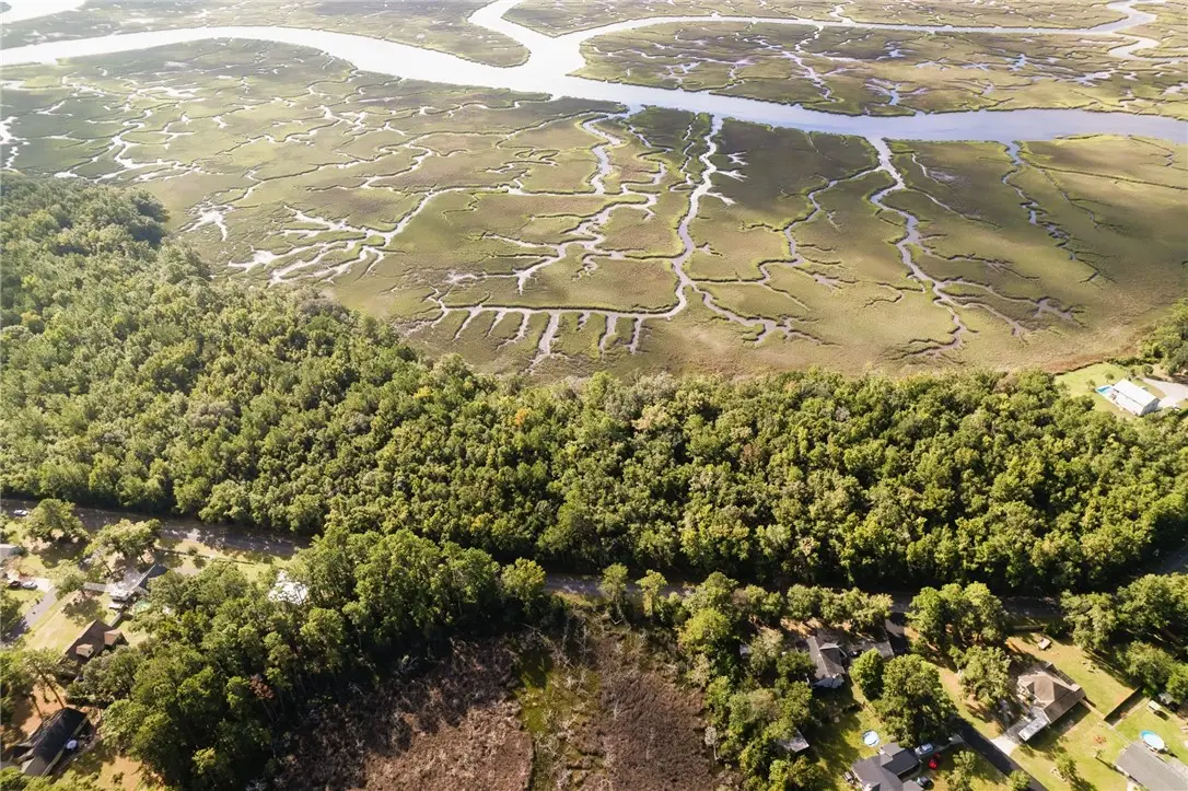 0 Sheffield Island Road, Woodbine, GA 31569 - Image #1