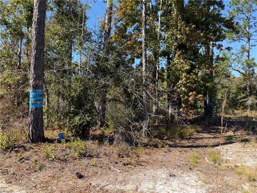 39.38 Branson Road, Townsend, GA 31331 - Image #2