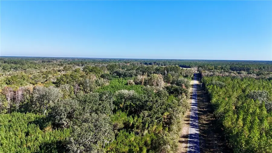 0 Bachlott Church Road, Nahunta, GA 31553 - Image #2