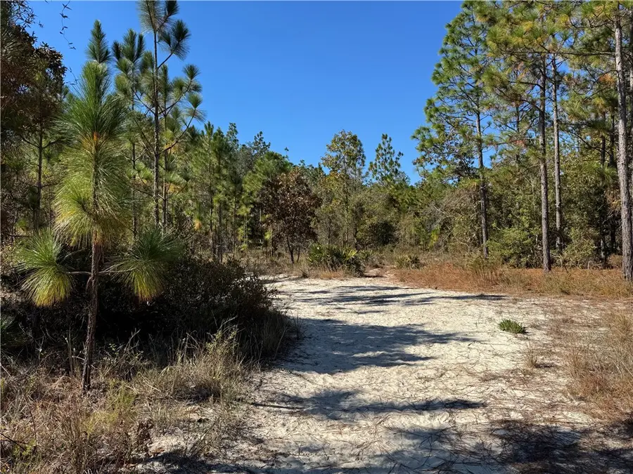 (45) Heritage Circle, Hortense, GA 31543 - Image #3