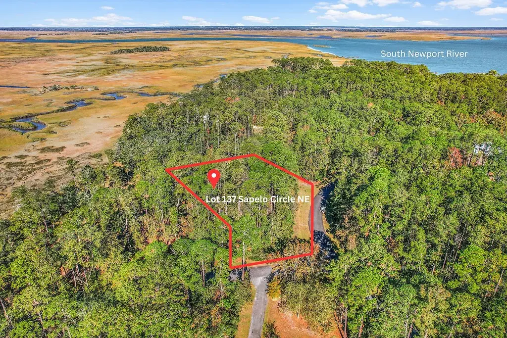 Lot 137 Sapelo Circle Ne, Townsend, GA 31331 - Image #1