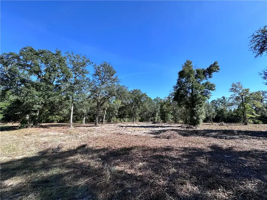 239 Satilla Sands Drive, Waynesville, GA 31566 - Image #2