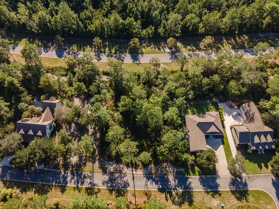 Lot 5 Blue Heron Trail, Waverly, GA 31565 - Image #3