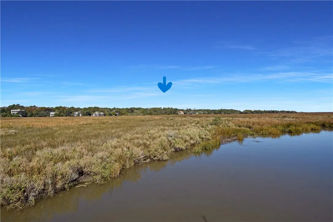 203 Palm Trace, Brunswick, GA 31525 - Image #1