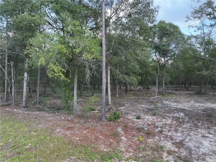 1 Spring Grove Road, Jesup, GA 31545 - Image #2