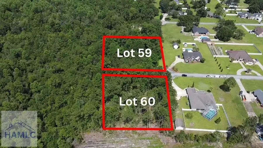 112 Vixenhill Drive, Jesup, GA 31546 - Image #3