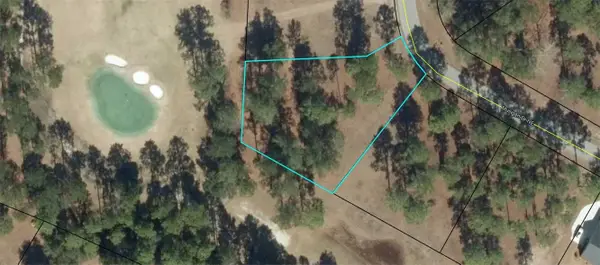 Lot 111 Mulligan Drive Ne, Townsend, GA 31331